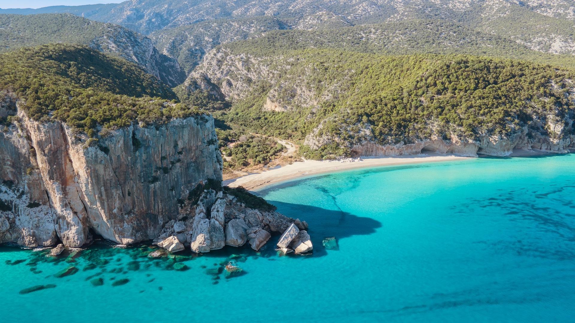 Una spiaggia rocciosa circondata da alberi verdi con un fascino accogliente.