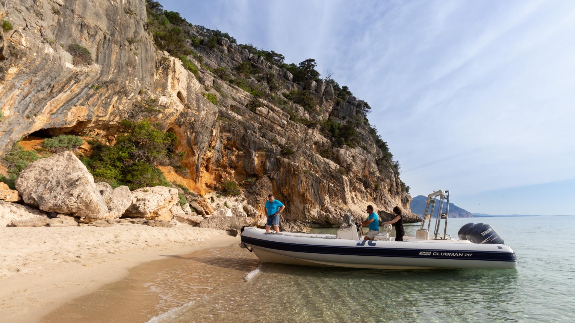 La barca è sulla spiaggia con dettagli verdi e curati.