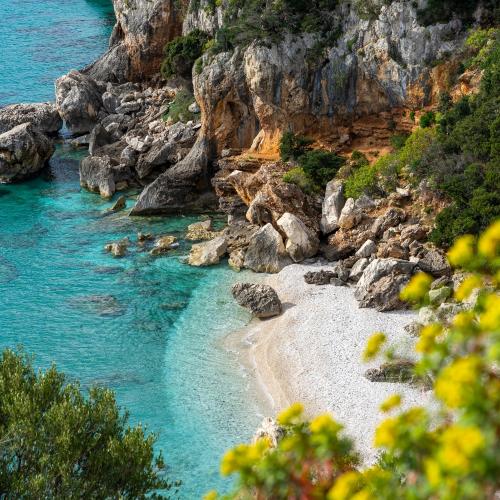 Una spiaggia sabbiosa con acque blu e alberi verdi dal carattere sereno e rilassante.