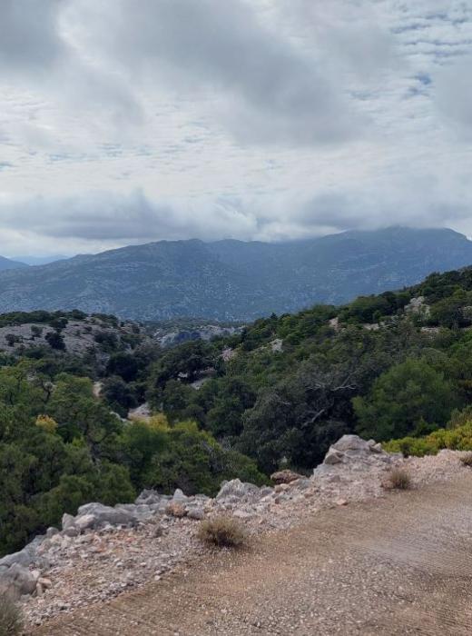 hotelbrancamaria it esperienze 042